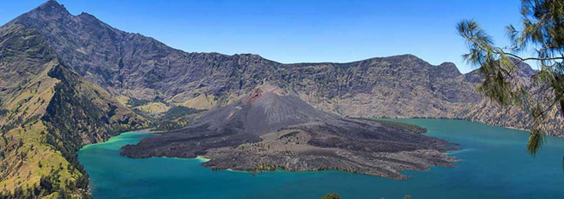 Bidy Tour and Travel